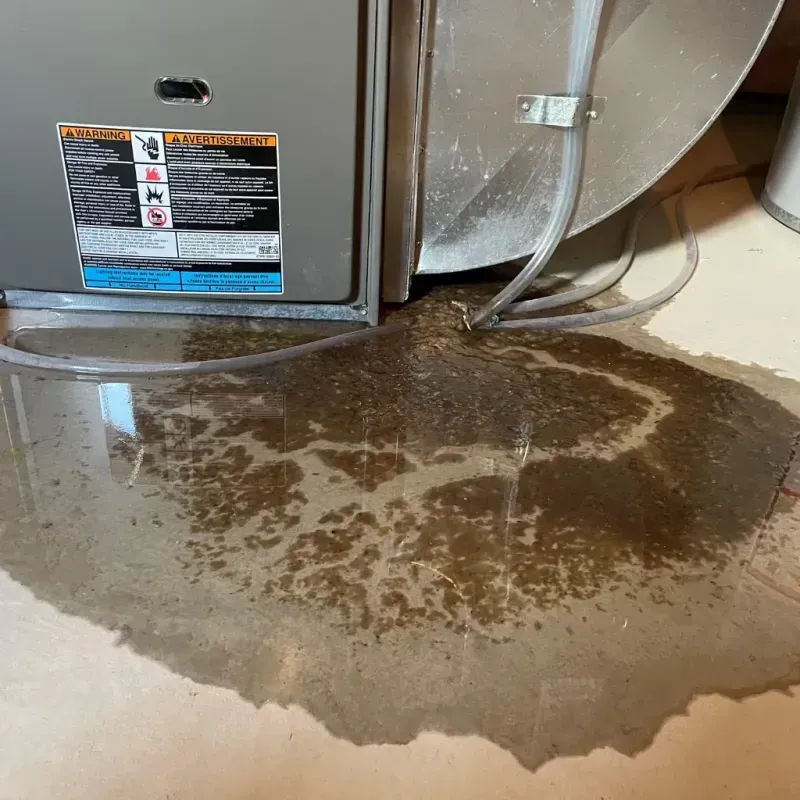 Appliance Leak Cleanup in Lincoln County, ME